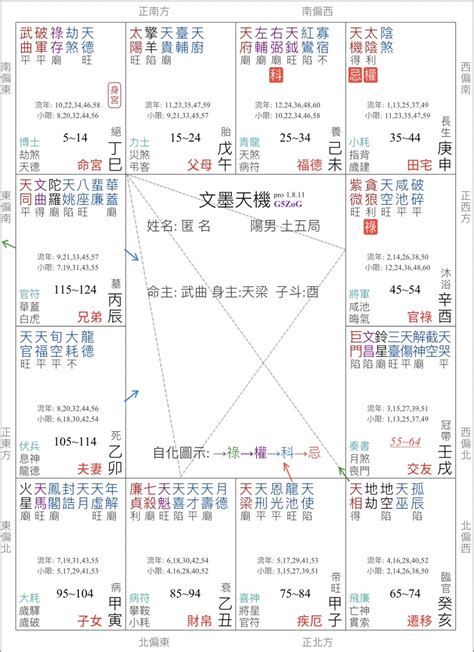 武曲破軍名人|紫微命盤解析——武曲、破軍在巳、亥宮